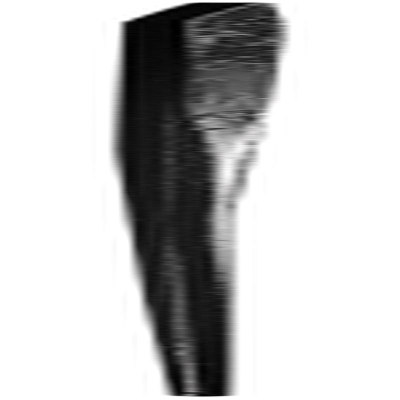 True Temper 48-In Pinch Point Crow Bar