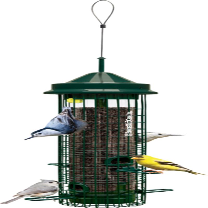 Brome Bird Care Squirrel Buster Classic