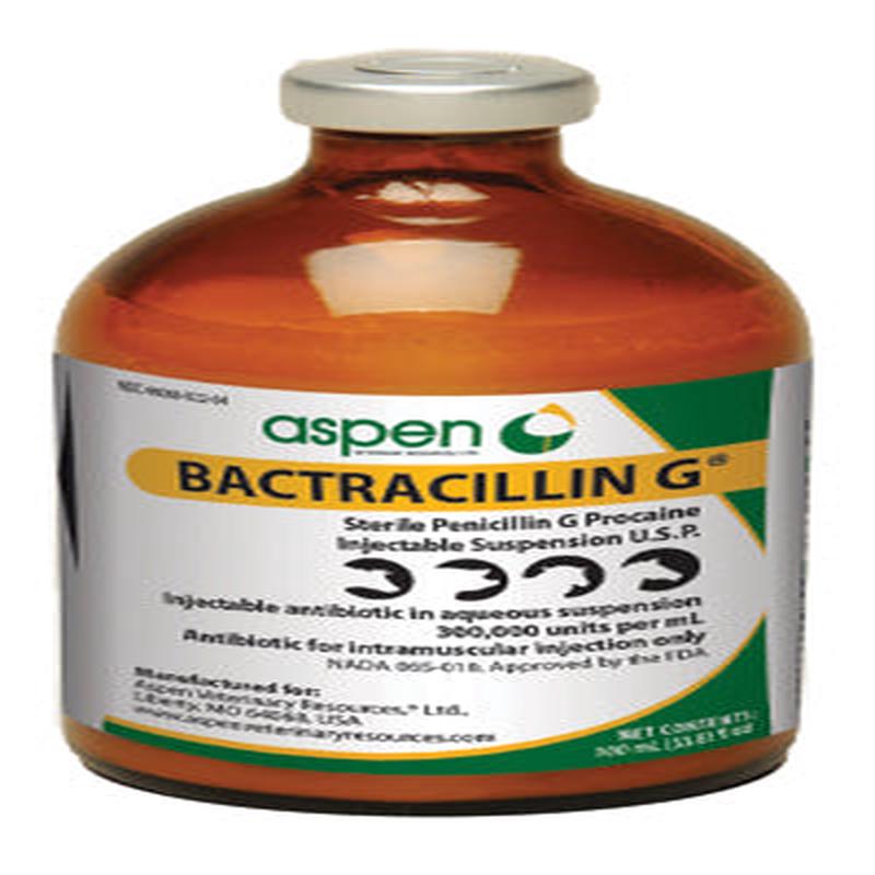Aspen Veterinary Resources Bactracillin G