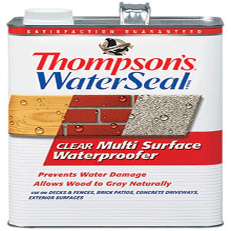 Thompsons WaterSeal Clear Multi-Surface Waterproofer 1 Gal
