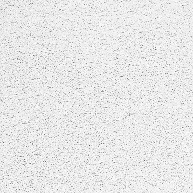 Armstrong Ceilings Textured FIRE GUARD 24-in x 48-in Ceiling Panels