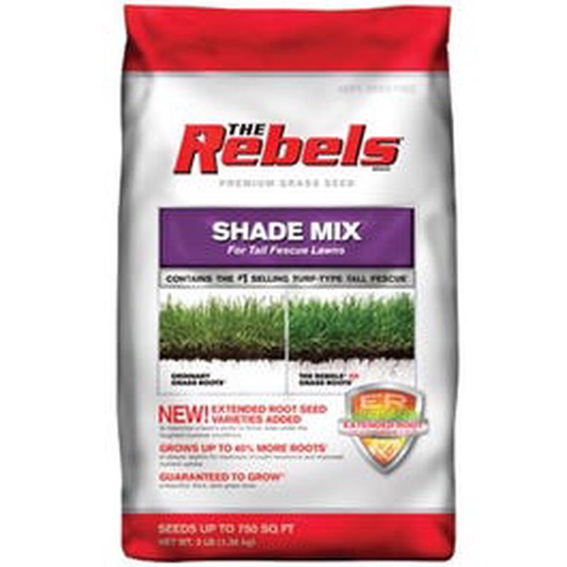 The Rebels Grass Seed, Tall Fescue Shade Mix, 3-Lbs., Covers 750 Sq. Ft.