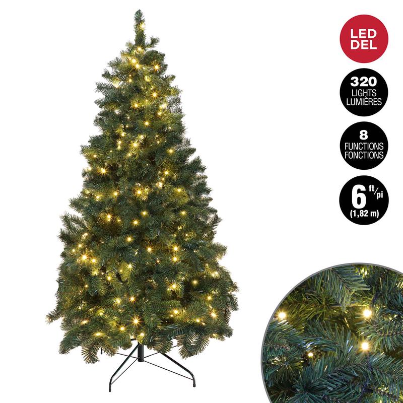 Sapin de Nol noble  320lumiresF5 DEL blanc chaud et 650pointes, 6' (1,82m)