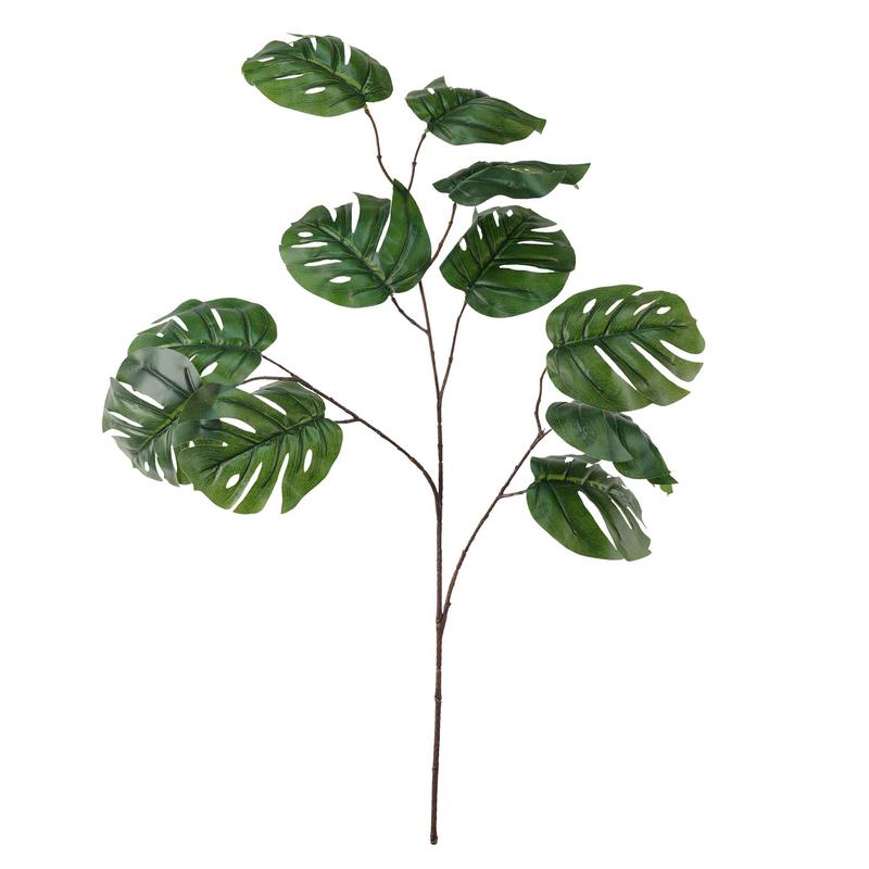 Branche  3 tiges de philodendron, 31''