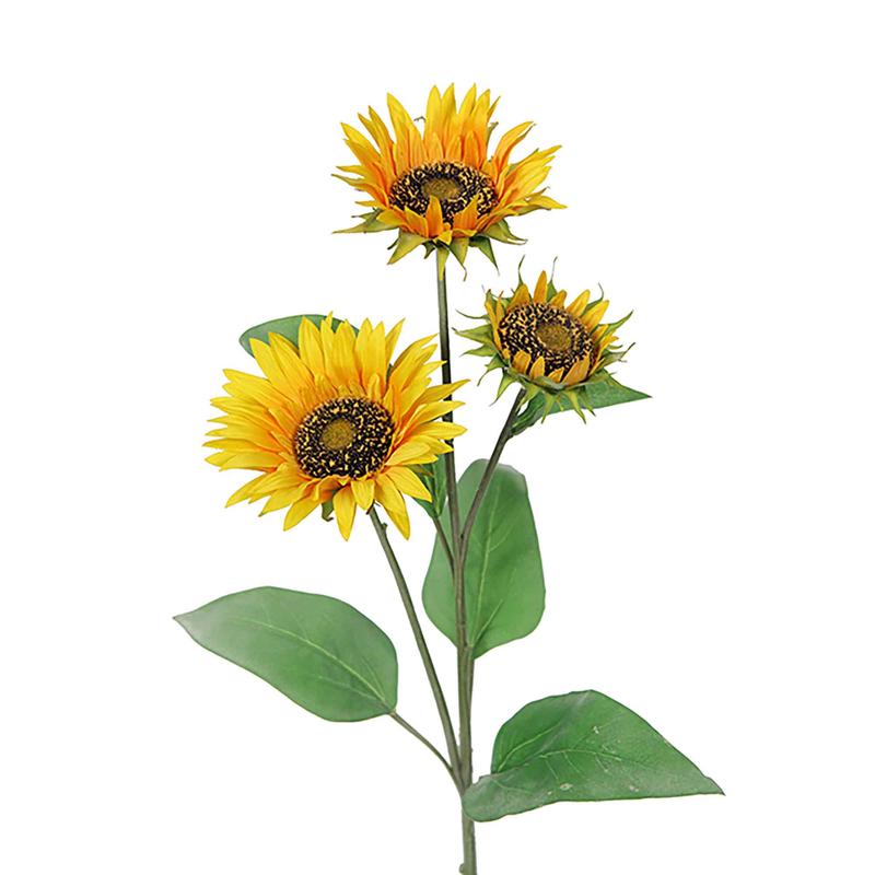 Tige de tournesol sauvage, 29,9"