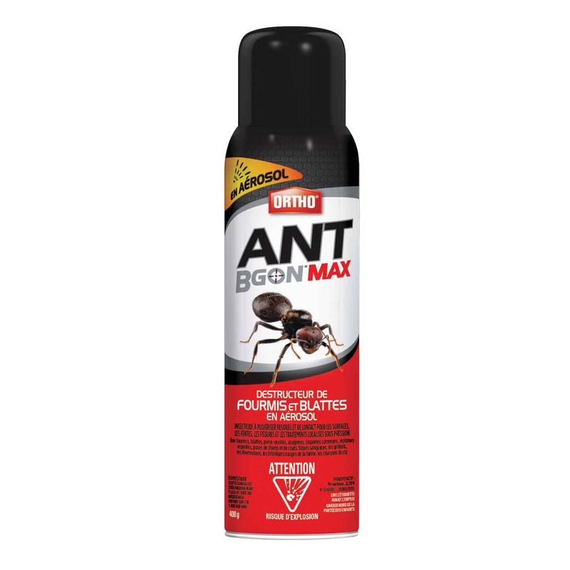 Arosol destructeur de fourmis et de blattes Ant B Gon MAX, 400 G