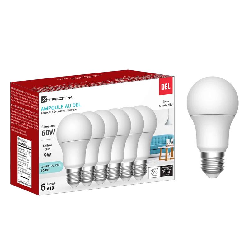 Ampoule non graduable DEL A19 9 W lumire du jour 5 000K, 6 units