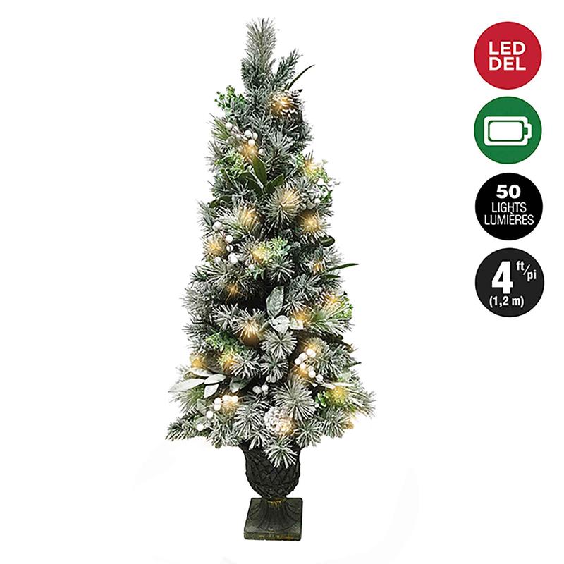 Sapin givr et pr-clair en pot de 50lumires avec baies blanches, 4' (1,2m)