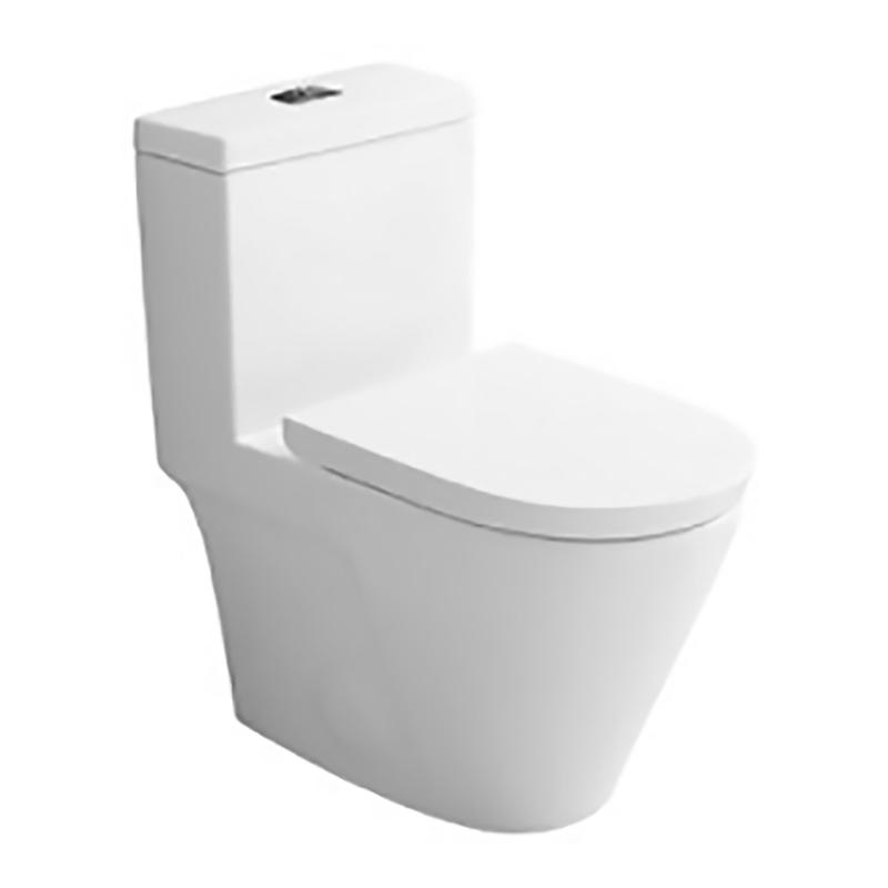 Toilette monobloc vasion, 4 L / 6 L (double chasse)
