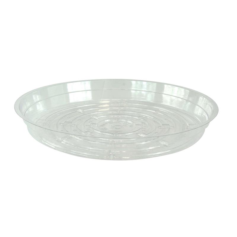 Soucoupe transparente, 10"