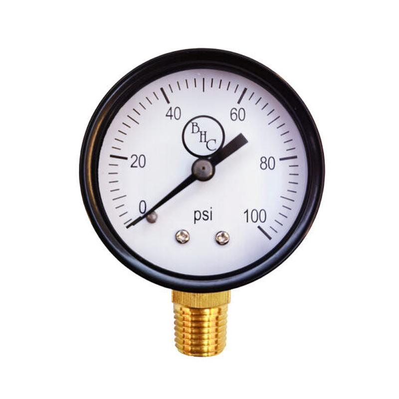 Braxton Harris Company 100 lb Gas Test Gauge Assembly w/ 3/4 FIP Connection