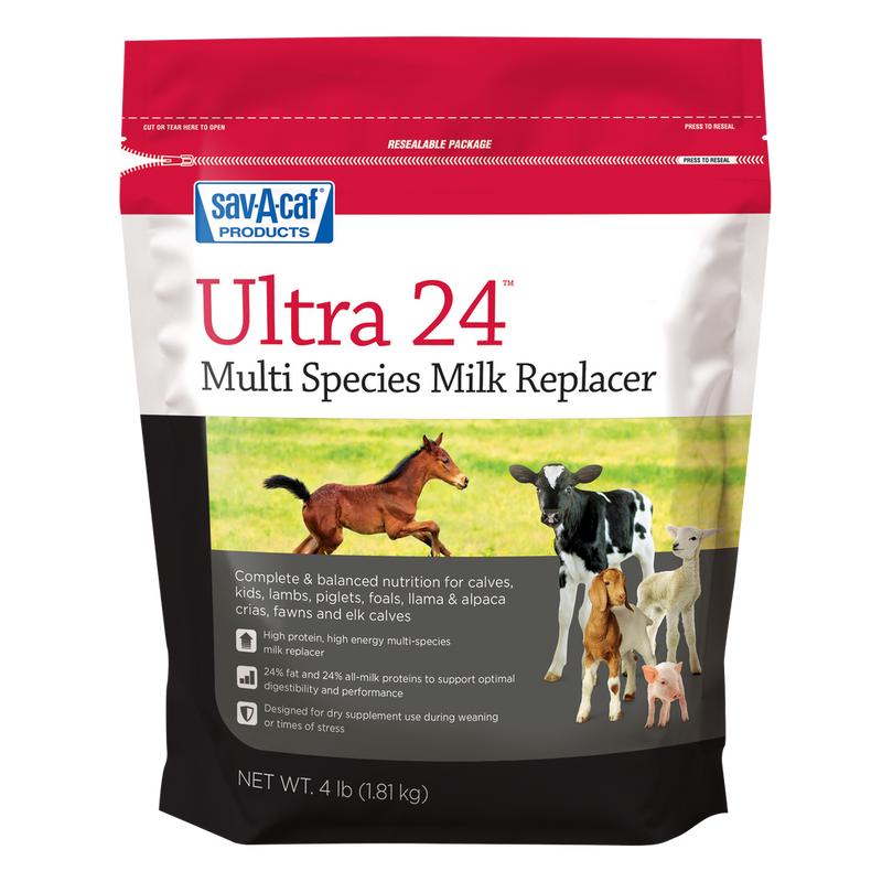 Sav-A-Caf Ultra 24 Multi-Purpose Milk Replacer