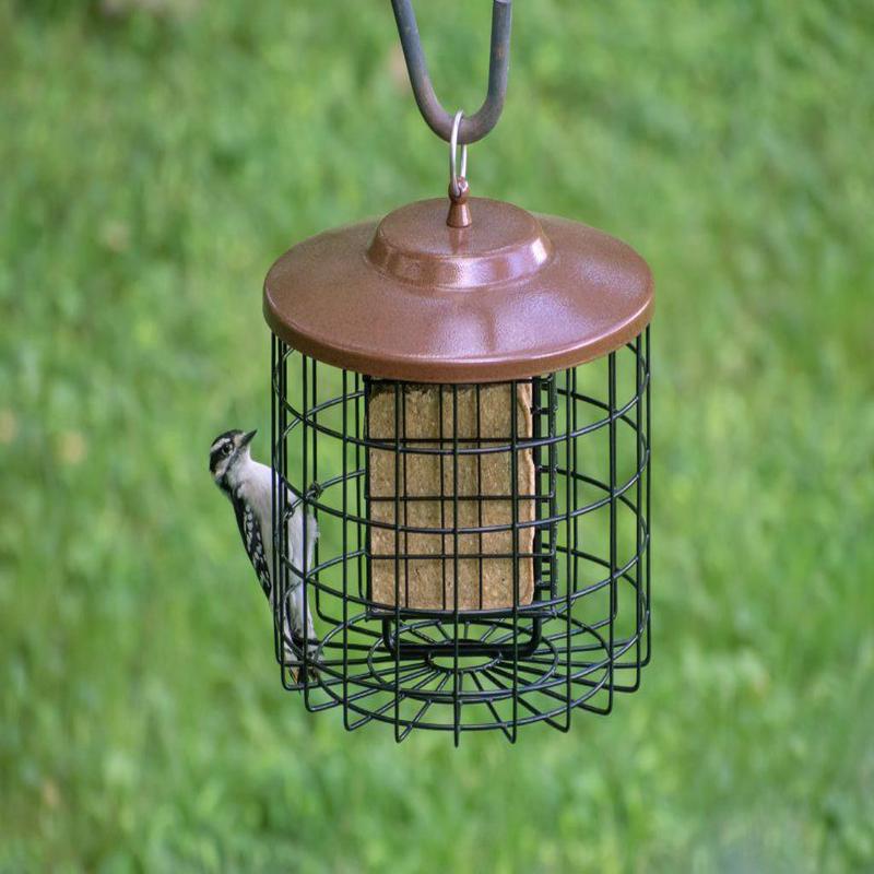 Squirrel-X Double Suet Cage Squirrel-Proof Bird Feeder, 2 suet cake capacity