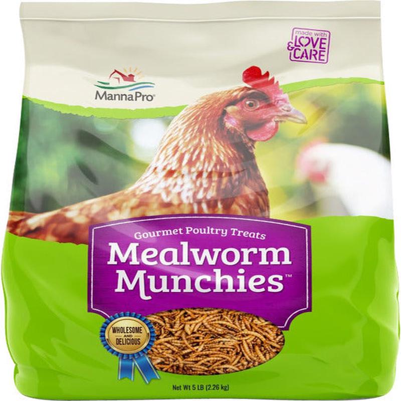 Treats for Chickens: Mealworm Munchies