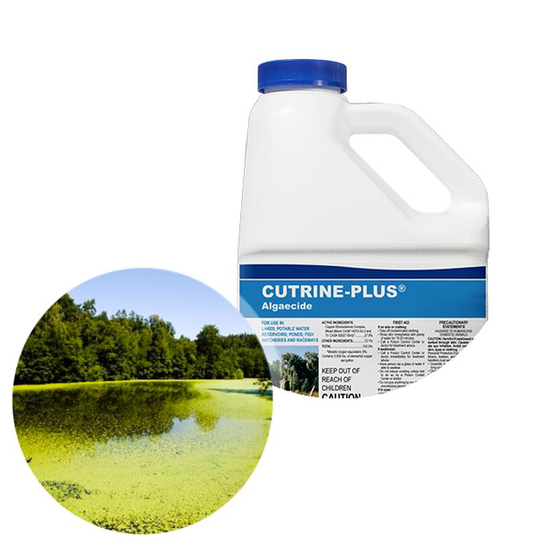Applied Biochemists Cutrine Plus Algaecide and Herbicide