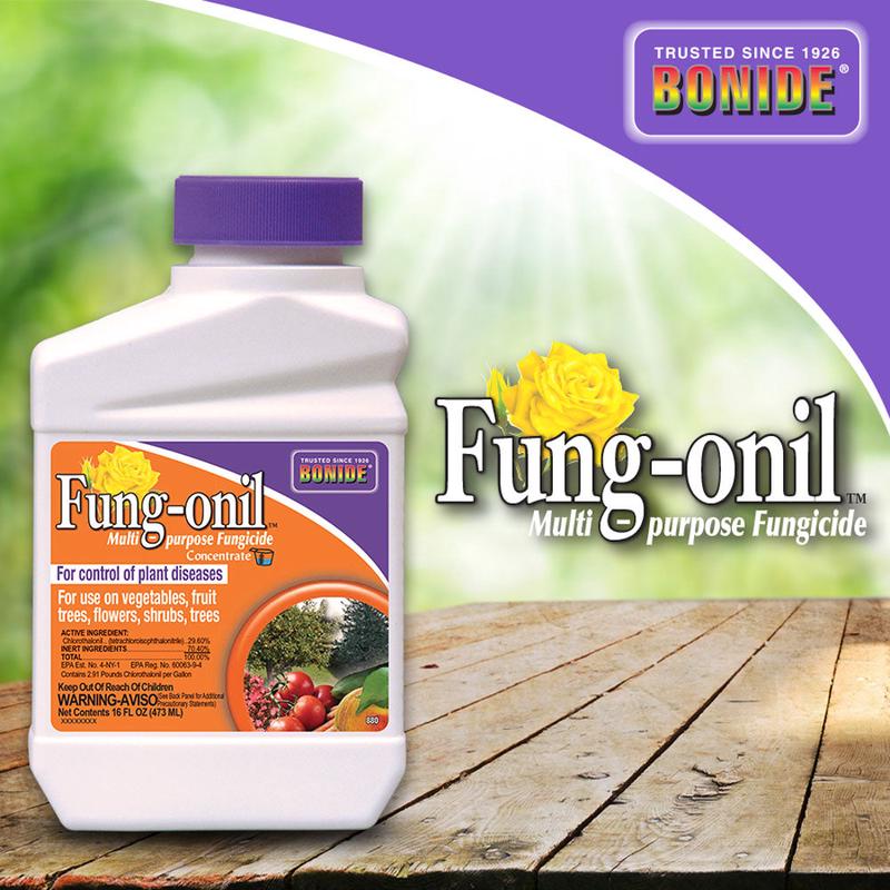 Bonide Fung-onil Fungicide Conc