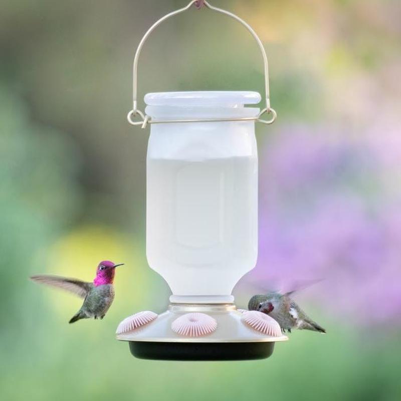 Woodstream Corporation, Inc Perky-Pet Sun-Kissed Top-Fill Glass Hummingbird Feeder - 22 Oz