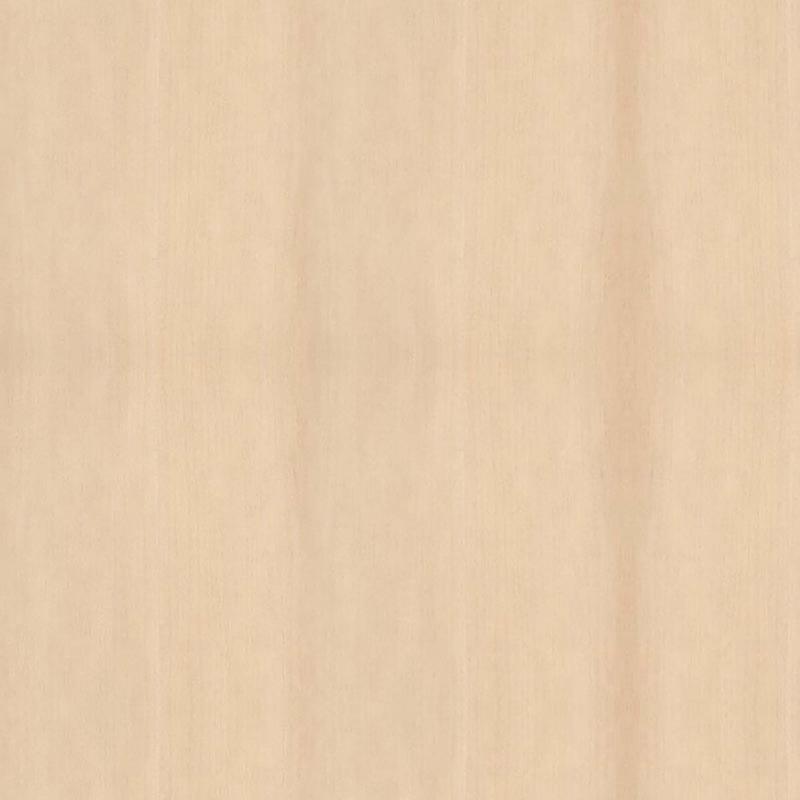 Bande de chant en rable, 7/8" x 25'